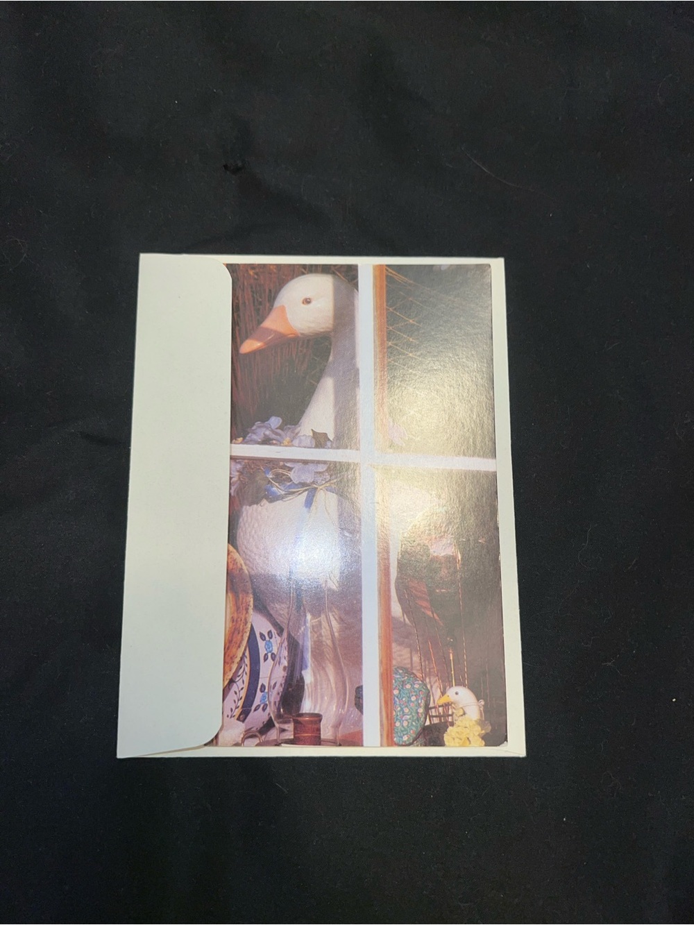 Goose Greeting Card - Picture 7 of 9